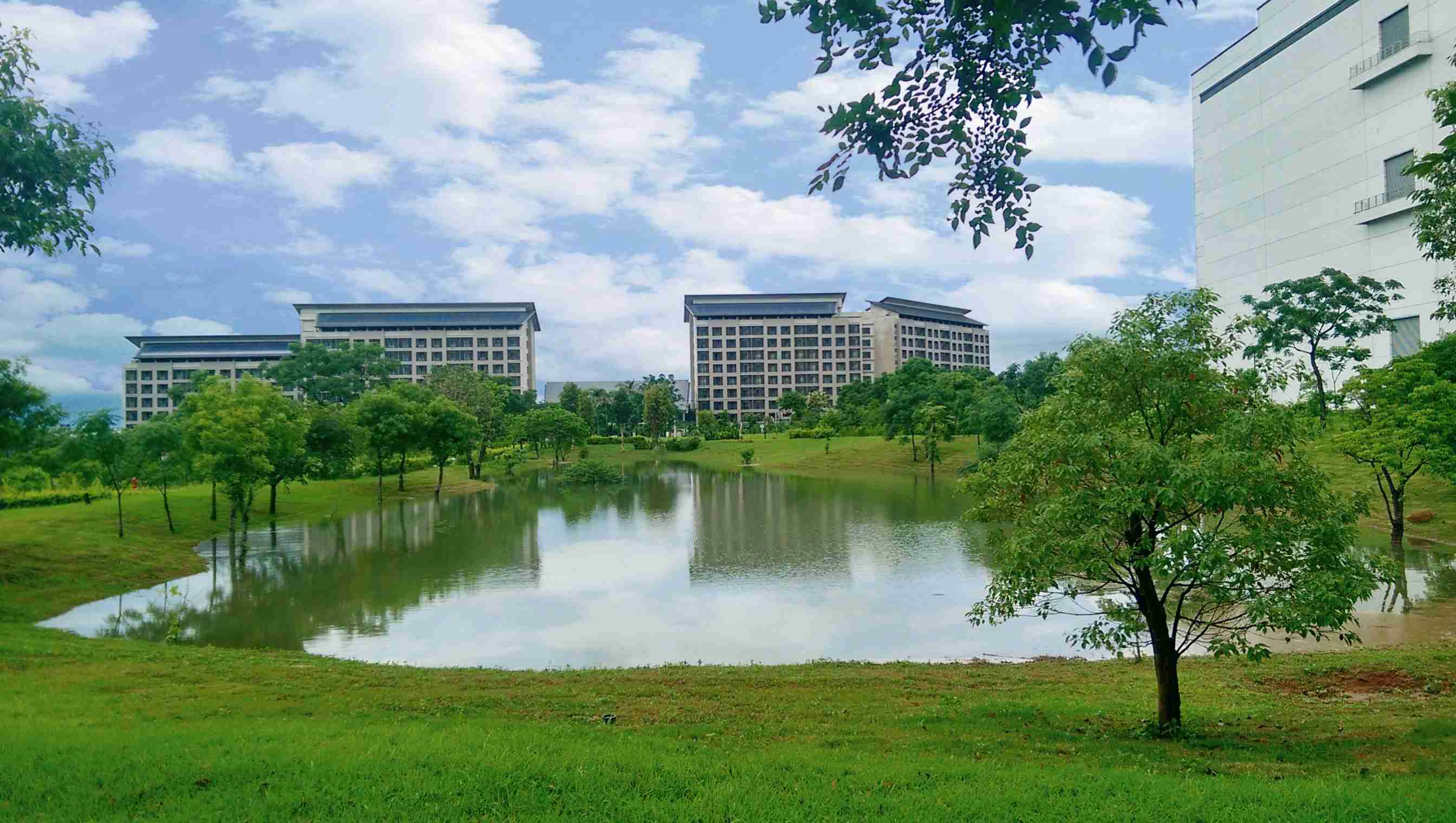 彩运网响应国际倡议生物多样性趋势，，，，首次发布TNFD自然相关财务揭露报告书，，擘划及开展彩运网生物多样性政策之承诺，，，，逐步迈向与自然和谐共生