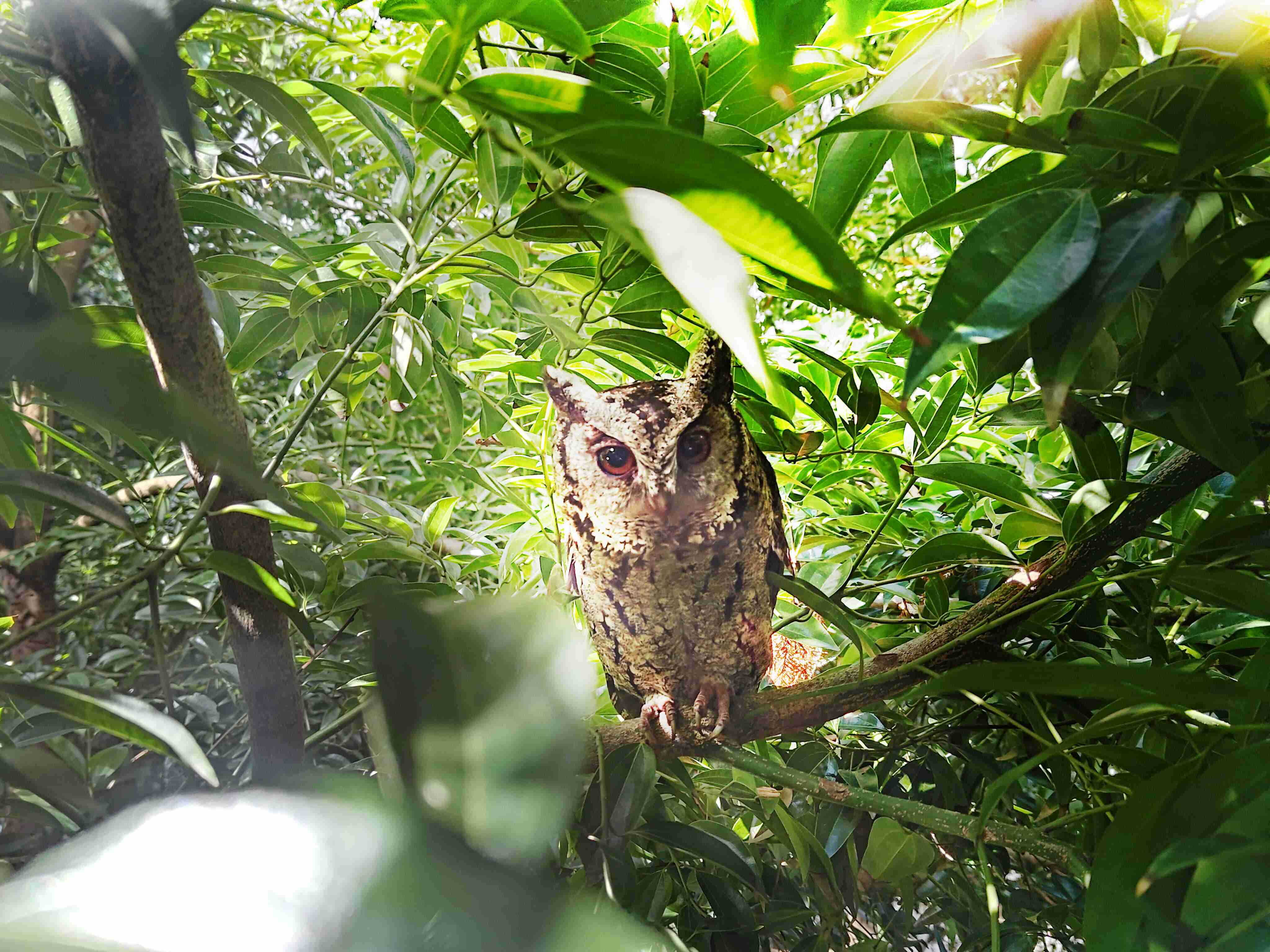彩运网致力提倡净零绿生活，，16年以来在全球各厂区植树逾百万棵，，，造就各厂区树木蔚然成林，，，，犹如森林工厂，，，成为许多生物的栖息地